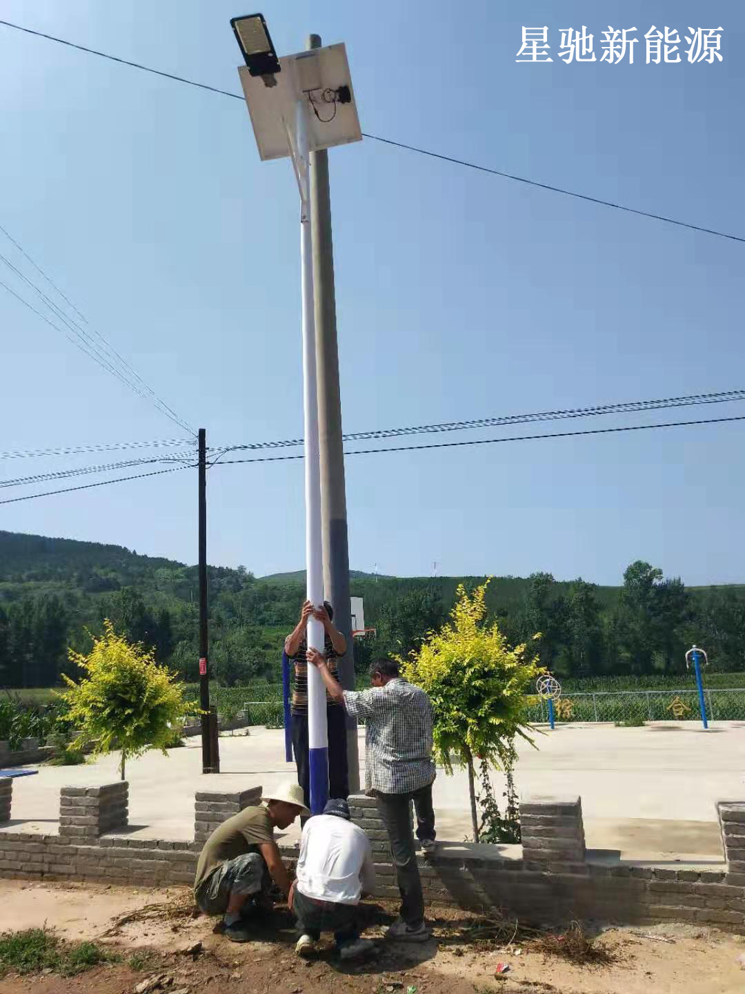 2019̫���·�����̃r